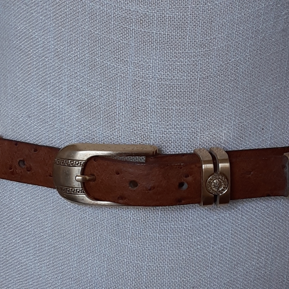 Ostrich Leather Segmented Heavy Brass Hinged Belt